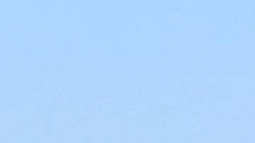 Esta huerta cerca de Kettleman City en el Valle Central ilustra la actual sequía en California.