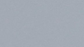 El violento incidente ocurrió luego que un avión de Southwest aterrizó en San Diego.