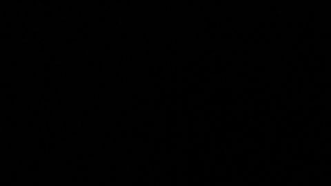 Recibir millones en bitcoins de regalo, pero por error.