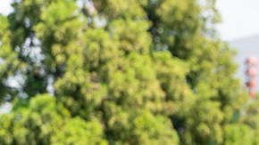 Gasolinera compra combustible