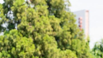 Gasolinera compra combustible