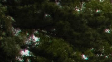 Colonial Pipeline reanuda la totalidad de operaciones ocho días después del ciberataque que provocó escasez de gasolina-GettyImages-1232849709.jpeg