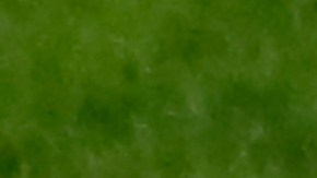 Thomas Tuchel