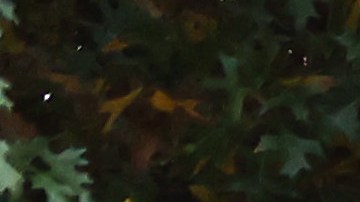 Un empleado de Dunkin’ Donuts mató de un puñetazo a un cliente de 77 tras recibir varios insultos racistas-GettyImages-1282320641.jpg