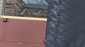 Se cumple un año de la trágica muerte del afroamericano George Floyd