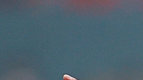Andre Pierre Gignac
