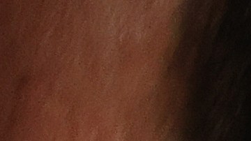 Un eufórico "Canelo" Álvarez celebra su triunfo por nocaut contra Billy Joe Saunders.