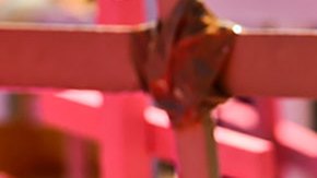 Feminicidios en México