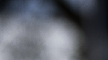 Un modelo reciente de zapatos Vans. La empresa fundada en Anaheim en 1966 es una marca global.