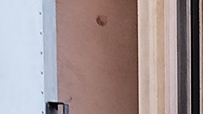 Los estados del noreste mantuvieron su presencia en el Congreso gracias a los latinos.