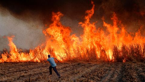 Los incendios en California afectan a los trabajadores en los campos y a comunidades latinas. / Getty.