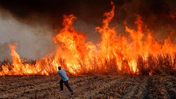 Los incendios en California afectan a los trabajadores en los campos y a comunidades latinas. / Getty.