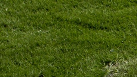 La NFL evalúa la posibilidad de realizar otras actividades este año en México para compensar la medida.