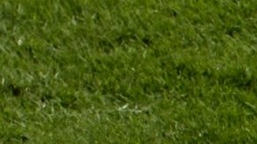 La NFL no veía un triunfo de los Bengals en playoffs desde hace 31 temporadas.