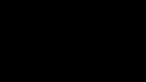 La red de la criptomoneda Solana es comparada con la popular tarjeta de crédito Visa.