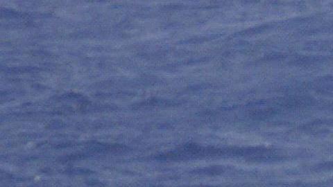 Una embarcación de la Guardia Costera en una misión de rescate.