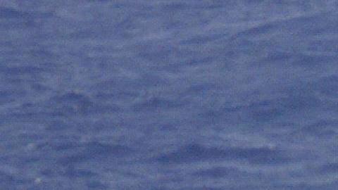 Una embarcación de la Guardia Costera en una misión de rescate.