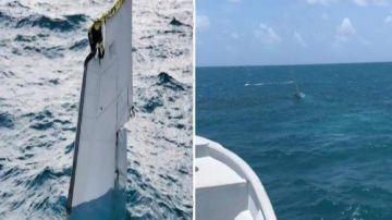 Hallan narco avioneta hundida en el mar en espacio aéreo usado por cárteles