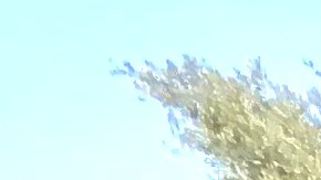 La Casa para Pobres Desamparados A.C. está en la Rumorosa.