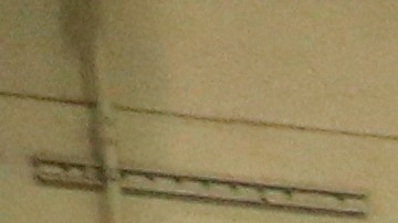 Catres donde dormirán los menores en el Pomona FairPlex.