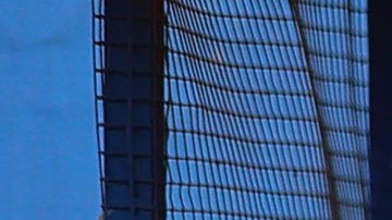 Seleccion Femenil de Mexico