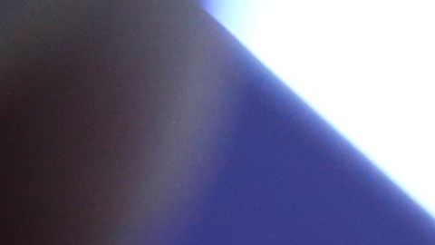 Miguel Herrera