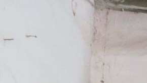 Familiares dan el último adiós a las víctimas del accidente del Metro de la Ciudad de México. Nancy Lezama, de 23 años, dentro de las víctimas.