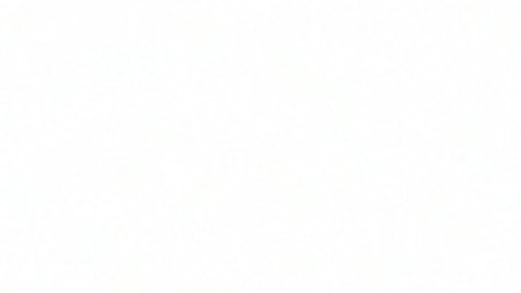 Leydy Rangel confía en que este año los dreamers puedan obtener un camino a la ciudadanía. (Cortesía Leydy Rangel)