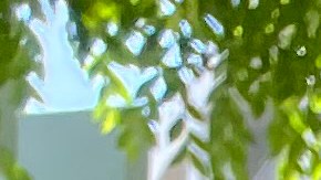 Lind Cortés obtiene la ciudadanía. (Cortesía Paulina Herrera)