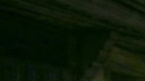 El alto el fuego fue celebrado en los territorios palestinos.