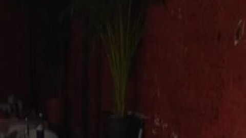 Plaza del Mencho se calienta, matan a 5 dentro de bar; 2 de ellos menores de edad