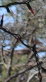 Equality California ofrece el programa de capacitación en español. (Suministrada)