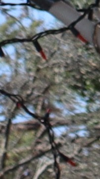 Equality California ofrece el programa de capacitación en español. (Suministrada)