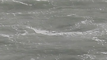 Frontera entre San Diego y Tijuana en el mar