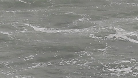 Frontera entre San Diego y Tijuana en el mar