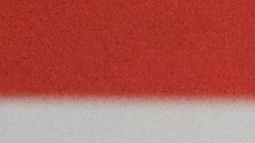 Tata Martino explicó la ausencia de Chicharito en la selección