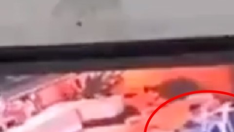 VIDEO: Ladrón mata a niño de 5 años para robar $4,500 dólares a familia