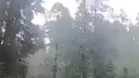 VIDEO: Narcos de La Familia Michoacana apuntan con armas y roban motocicletas a bikers