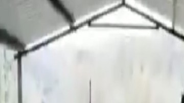 Zudikey, estrella del Exatlón reta al Cártel de La Familia Michoacana y retoma campaña