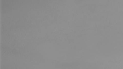 Predicciones en el amor