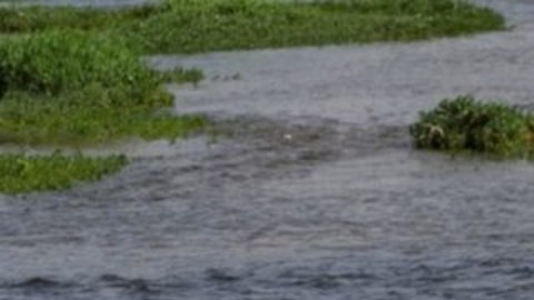 Este es el momento en el que el joven lleva a la anciana en brazos.