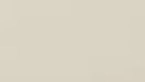 Las armas de asalto incautadas.