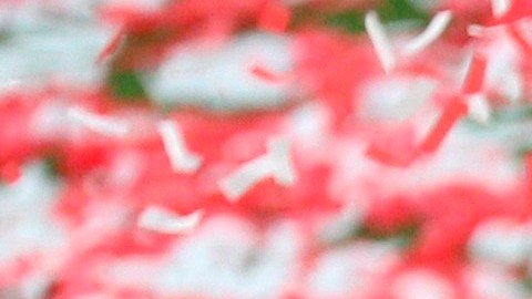 Atlético de Madrid