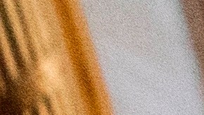 Los manifestantes lograron ingresar a ambas cámaras.