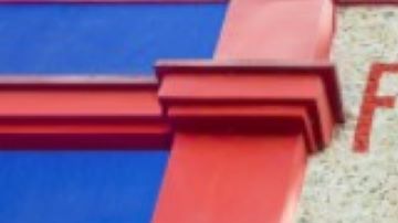 Recrearon el jardín de la Casa Azul.