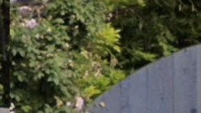 Robert Pattinson Casa