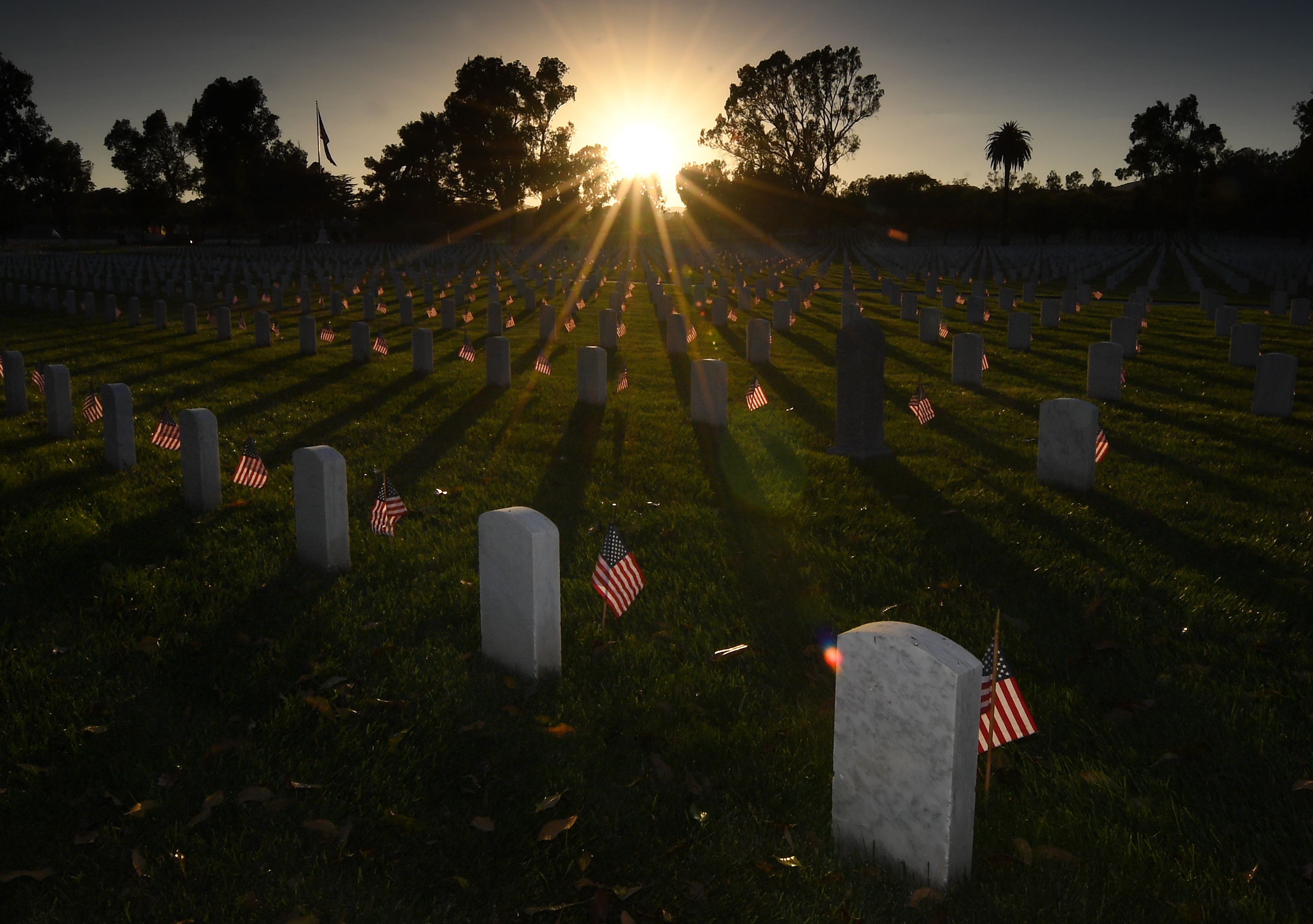 Cementerio nacional de Los Ángeles deja imágenes