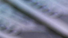 En California hay aproximadamente dos millones de inmigrantes indocumentados que podrían beneficiarse con este cheque de estímulo.