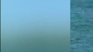 Dayana Gómez, conocida como Diani, había desaparecido a las 6am tras salir a correr por su vecindario en el sur de la Florida.