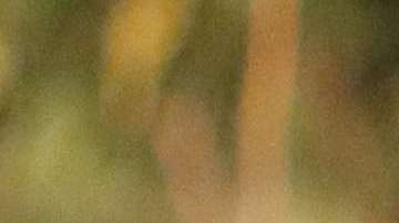 Ebru Şahin y Akin Akinözü protagonizan 'Hercai: Amor y Venganza'